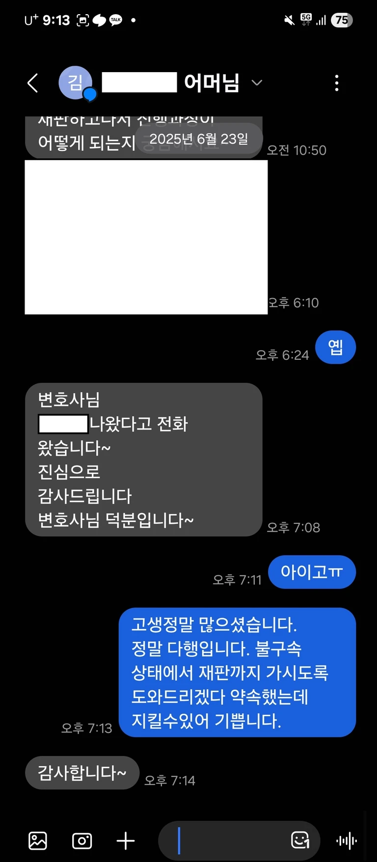 리벤지 포르노로 규정된 사건, 영장 기각 의뢰인 대화